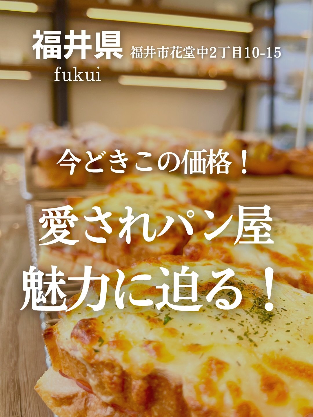 グリンベーカリーの焼きたてチーズパンが並ぶ棚（表紙）