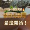 魂心家 福井店の豚骨ラーメン（表紙）