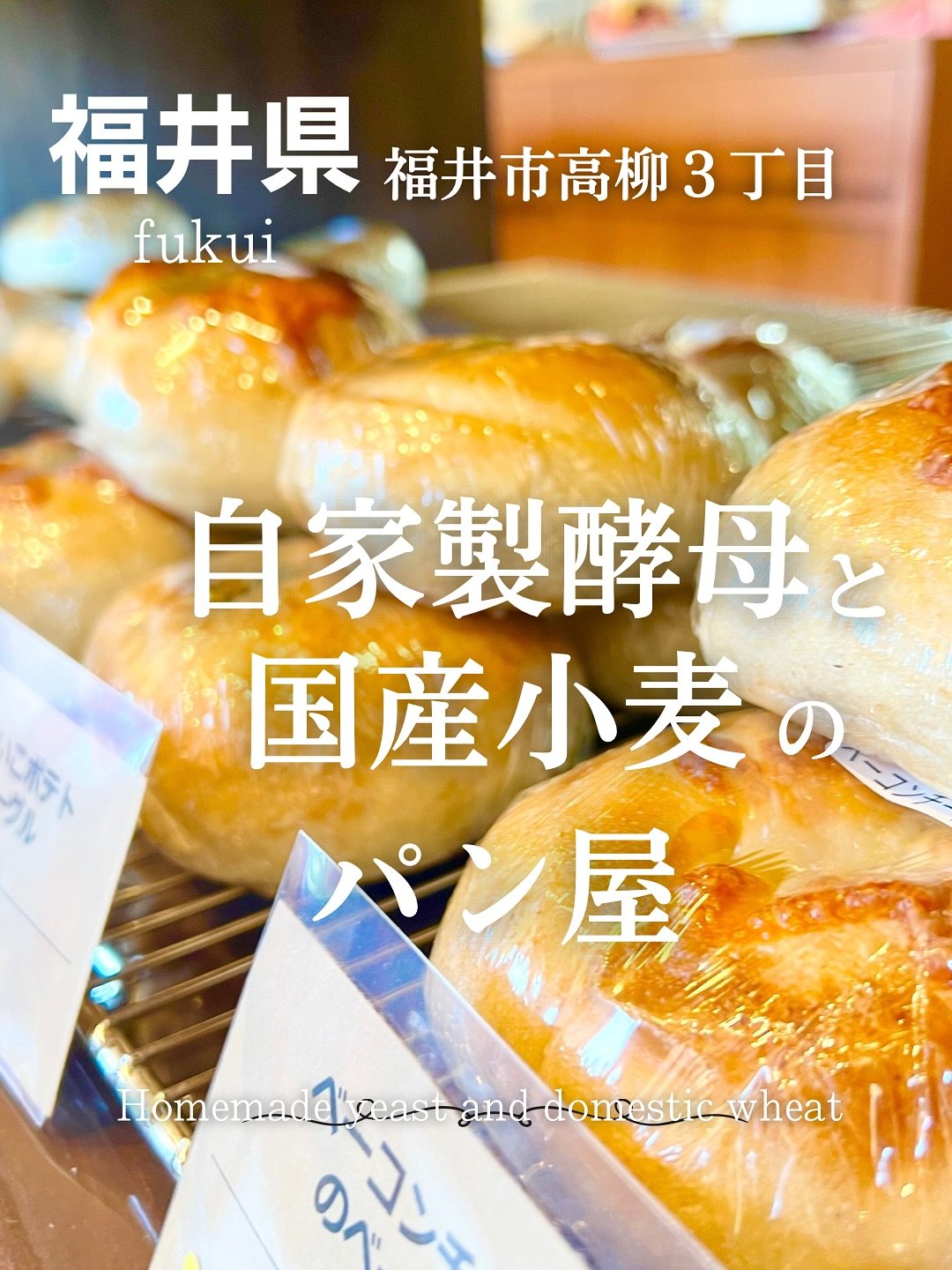 teto（テト）福井市高柳 自家製酵母と国産小麦のパン屋の表紙