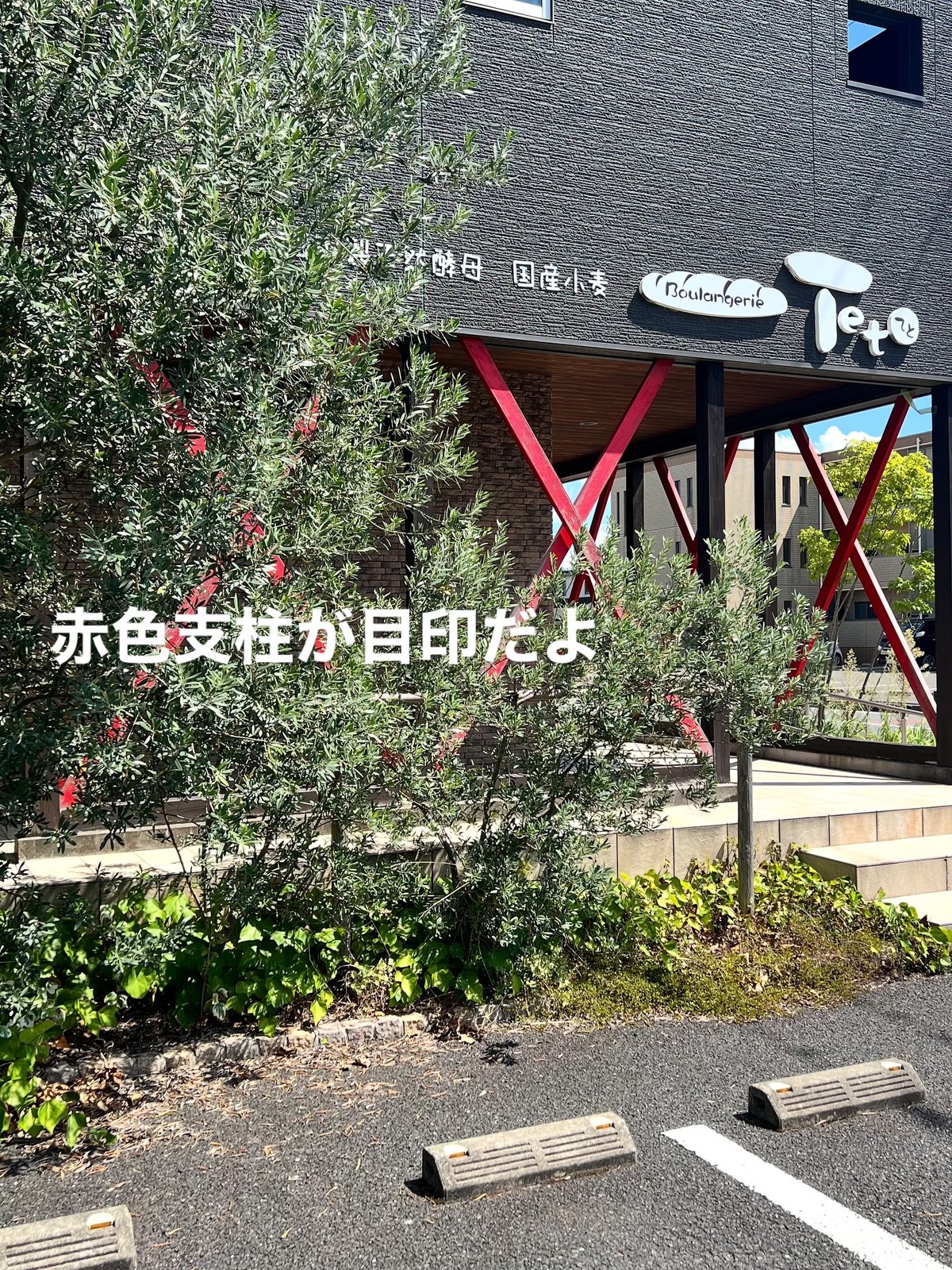 teto(テト)赤色の支柱が目印の外観と植栽